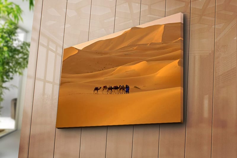 Dekorativ Canvasbillede 45x70 cm - Flerfarvet - Boligtilbehør - Billeder & kunst - Billeder på lærred