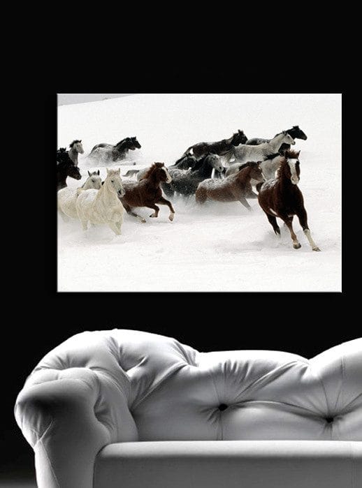 Dekorativ Canvasbillede 45x70 cm - Flerfarvet - Boligtilbehør - Billeder & kunst - Billeder på lærred