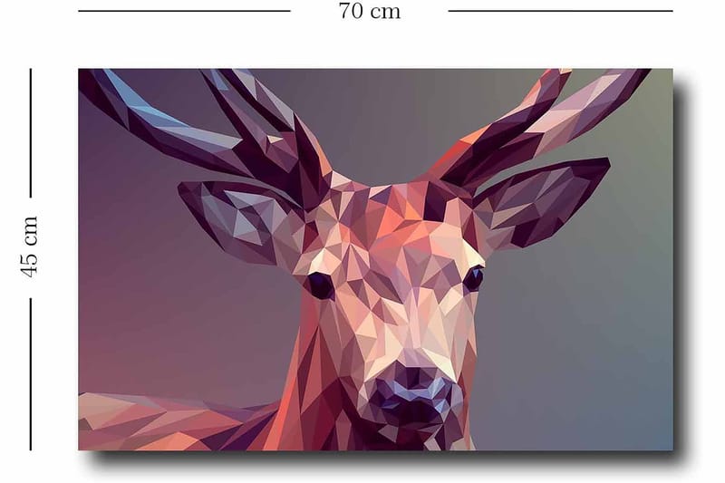 Dekorativ Canvasbillede 45x70 cm - Flerfarvet - Boligtilbehør - Billeder & kunst - Billeder på lærred