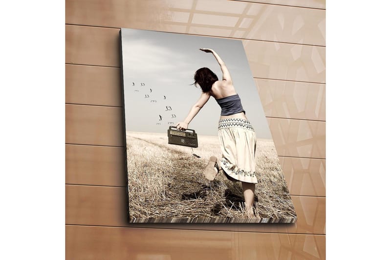 Dekorativ Canvasbillede 45x70 cm - Flerfarvet - Boligtilbehør - Billeder & kunst - Billeder på lærred