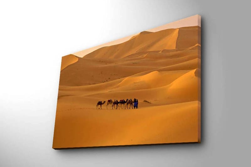 Dekorativ Canvasbillede 45x70 cm - Flerfarvet - Boligtilbehør - Billeder & kunst - Billeder på lærred