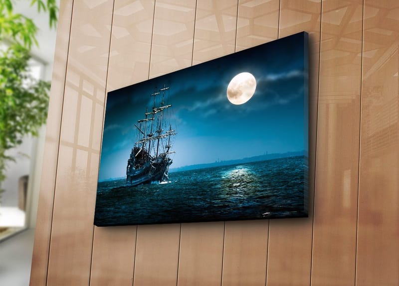 Dekorativ Canvasbillede 45x70 cm - Flerfarvet - Boligtilbehør - Billeder & kunst - Billeder på lærred