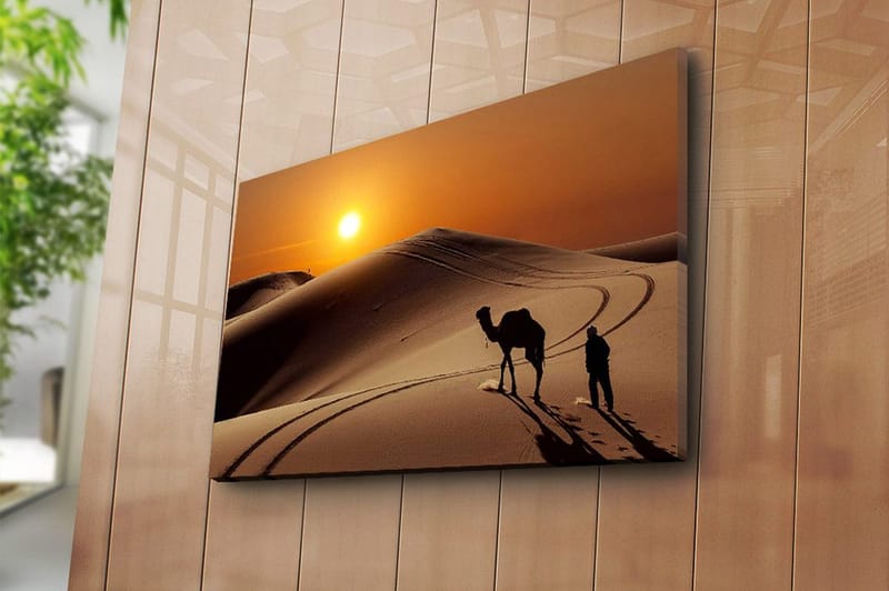 Dekorativ Canvasbillede 45x70 cm - Flerfarvet - Boligtilbehør - Billeder & kunst - Billeder på lærred