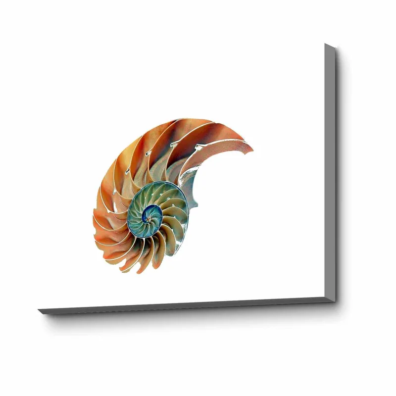 Dekorativ Canvasbillede 45x70 cm, Flerfarvet