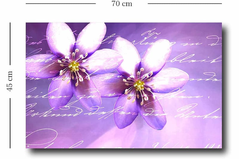 Dekorativ Canvasbillede 45x70 cm - Flerfarvet - Boligtilbehør - Billeder & kunst - Billeder på lærred