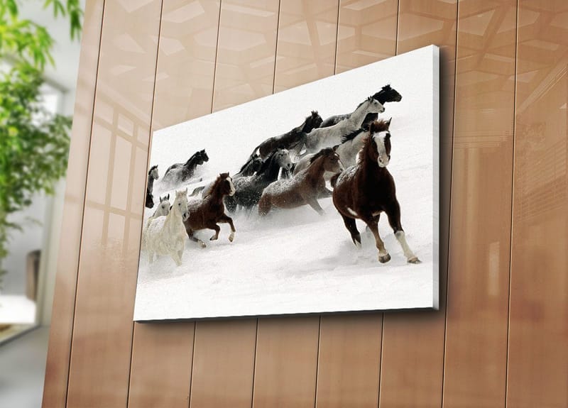 Dekorativ Canvasbillede 45x70 cm - Flerfarvet - Boligtilbehør - Billeder & kunst - Billeder på lærred