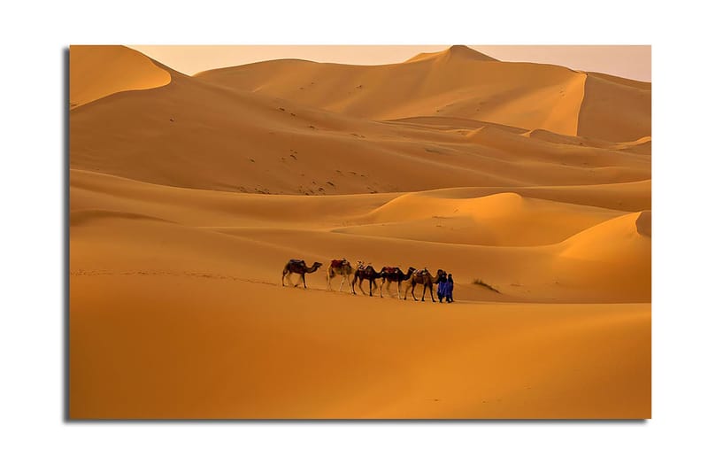 Dekorativ Canvasbillede 45x70 cm, Flerfarvet