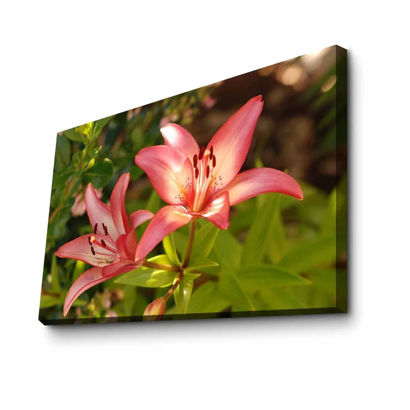 Dekorativ Canvasbillede 45x70 cm, Flerfarvet