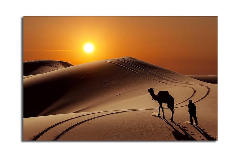 Dekorativ Canvasbillede 45x70 cm, Flerfarvet