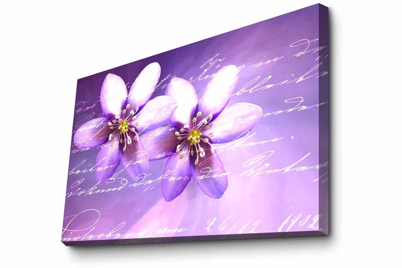 Dekorativ Canvasbillede 45x70 cm - Flerfarvet - Boligtilbehør - Billeder & kunst - Billeder på lærred