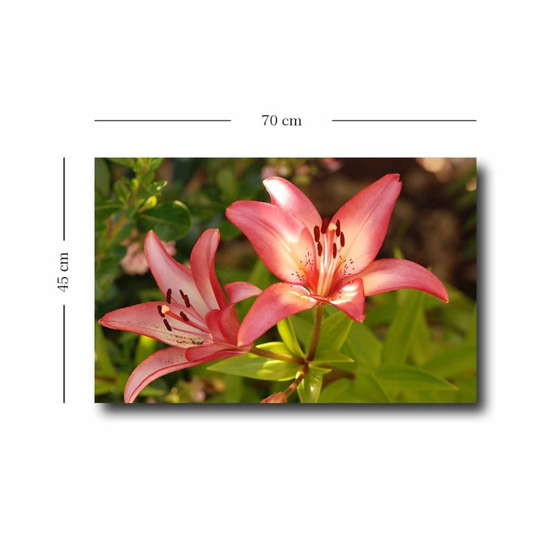 Dekorativ Canvasbillede 45x70 cm - Flerfarvet - Boligtilbehør - Billeder & kunst - Billeder på lærred