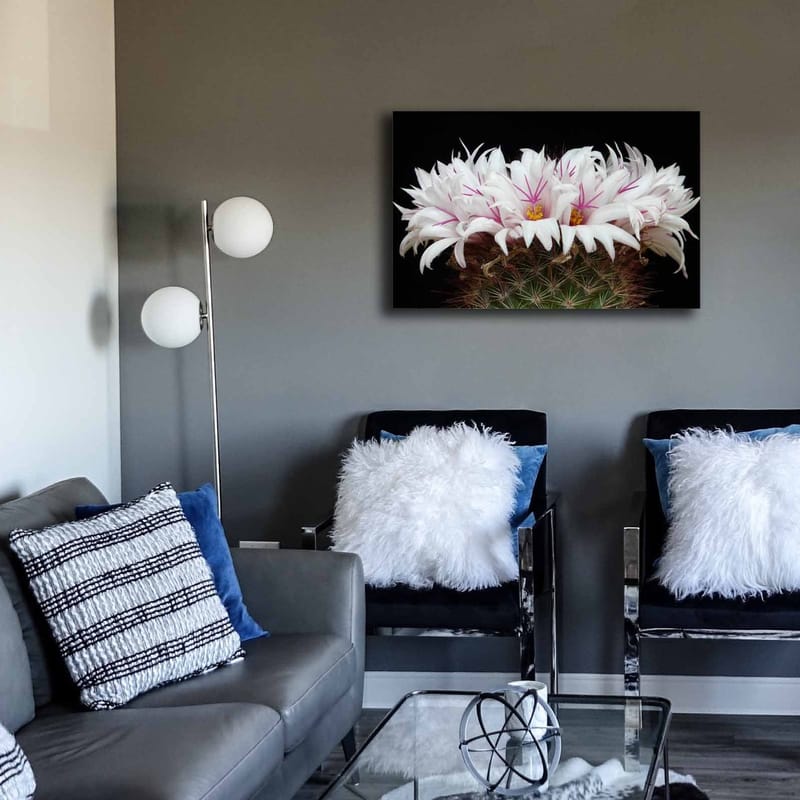 Dekorativ Canvasbillede 45x70 cm - Flerfarvet - Boligtilbehør - Billeder & kunst - Billeder på lærred