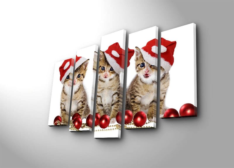 Dekorativ Canvasbillede 5-Dele 19x70 cm - Flerfarvet - Boligtilbehør - Billeder & kunst - Billeder på lærred