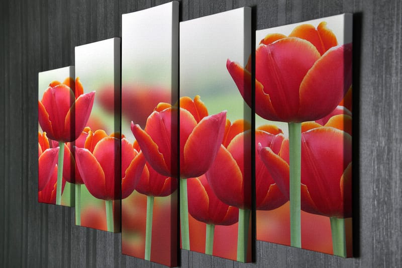 Dekorativ Canvasbillede 5-Dele 70x20 cm - Flerfarvet - Boligtilbehør - Billeder & kunst - Billeder på lærred