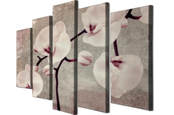Dekorativ Canvasbillede 5-Dele 70x20 cm - Flerfarvet - Boligtilbehør - Billeder & kunst - Billeder på lærred