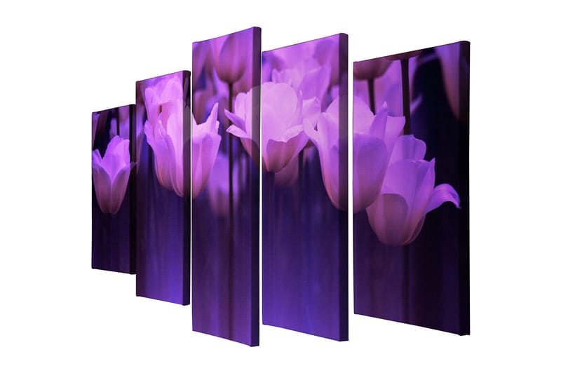 Dekorativ Canvasbillede 5-Dele 70x20 cm - Flerfarvet - Boligtilbehør - Billeder & kunst - Billeder på lærred