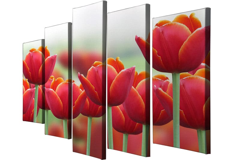 Dekorativ Canvasbillede 5-Dele 70x20 cm - Flerfarvet - Boligtilbehør - Billeder & kunst - Billeder på lærred