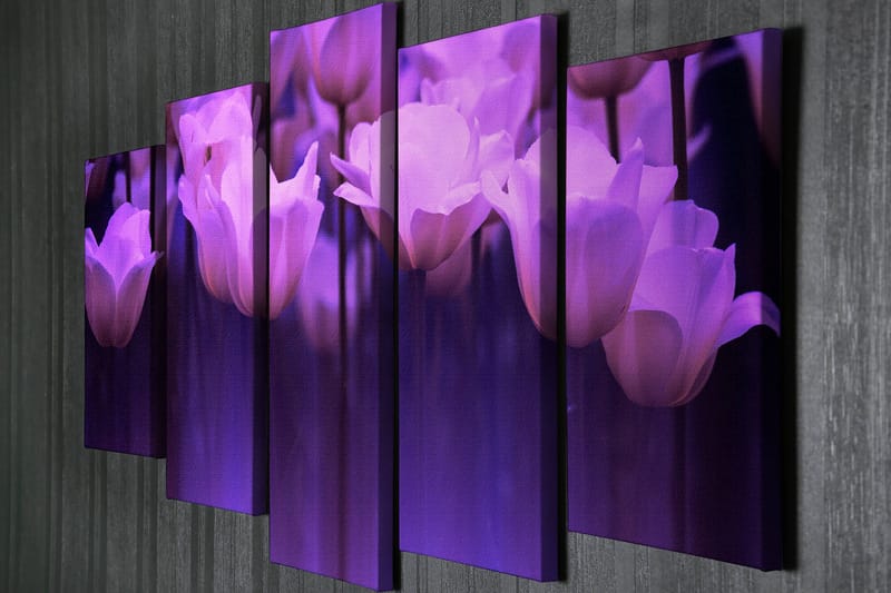 Dekorativ Canvasbillede 5-Dele 70x20 cm - Flerfarvet - Boligtilbehør - Billeder & kunst - Billeder på lærred