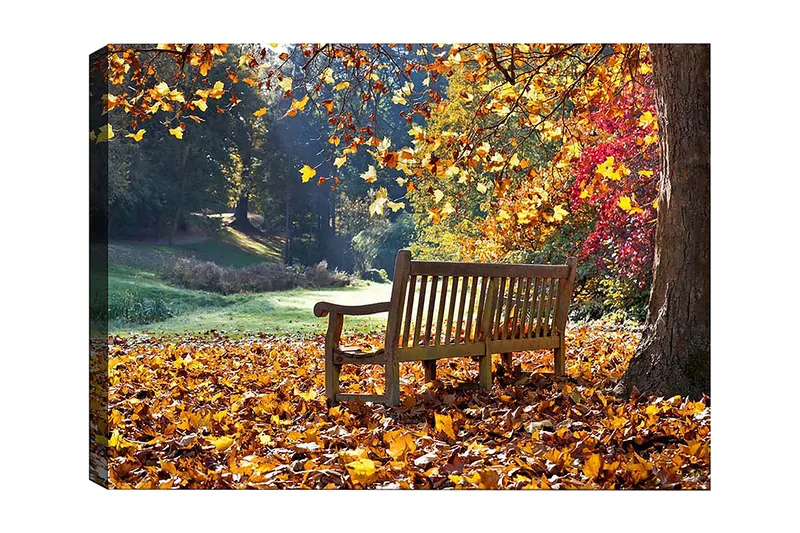 Dekorativ Canvasbillede 50x70 cm, Flerfarvet