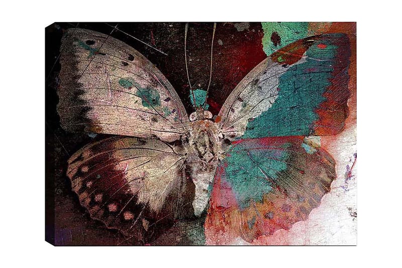 Dekorativ Canvasbillede 50x70 cm, Flerfarvet