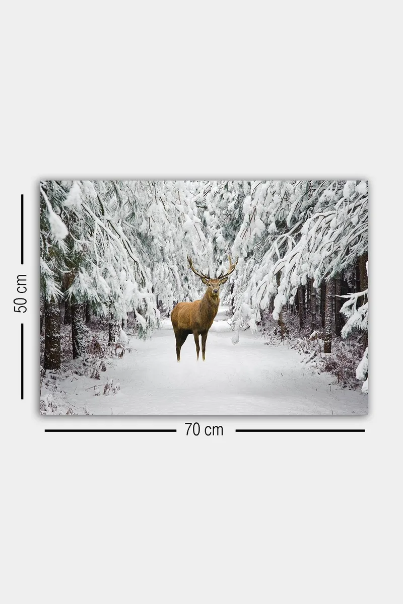 Dekorativ Canvasbillede 50x70 cm - Flerfarvet - Boligtilbehør - Billeder & kunst - Billeder på lærred