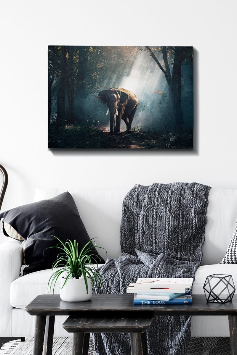 Dekorativ Canvasbillede 50x70 cm - Flerfarvet - Boligtilbehør - Billeder & kunst - Billeder på lærred