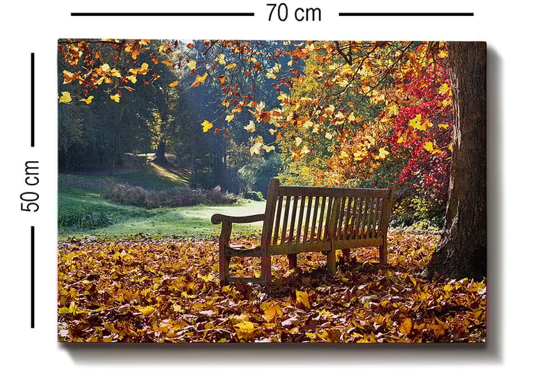 Dekorativ Canvasbillede 50x70 cm - Flerfarvet - Boligtilbehør - Billeder & kunst - Billeder på lærred