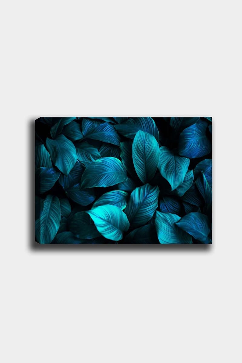 Dekorativ Canvasbillede 50x70 cm, Flerfarvet