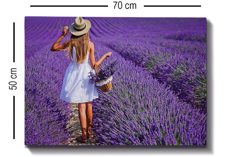 Dekorativ Canvasbillede 50x70 cm - Flerfarvet - Boligtilbehør - Billeder & kunst - Billeder på lærred