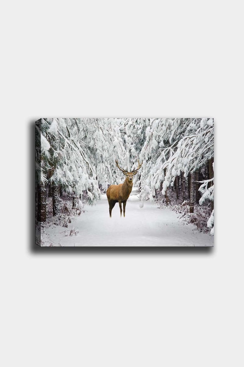Dekorativ Canvasbillede 50x70 cm - Flerfarvet - Boligtilbehør - Billeder & kunst - Billeder på lærred