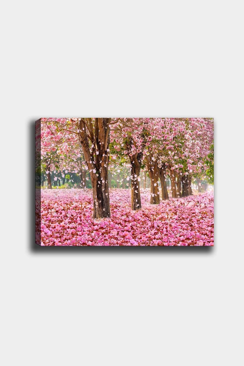 Dekorativ Canvasbillede 50x70 cm - Flerfarvet - Boligtilbehør - Billeder & kunst - Billeder på lærred