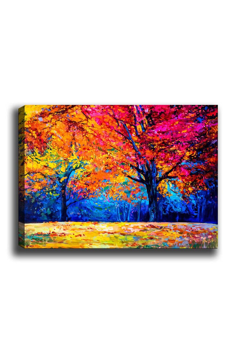 Dekorativ Canvasbillede 50x70 cm - Flerfarvet - Boligtilbehør - Billeder & kunst - Billeder på lærred