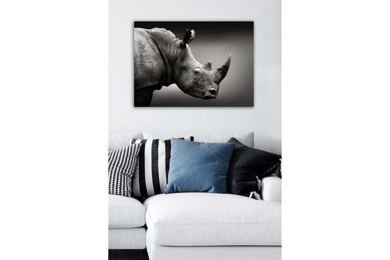 Dekorativ Canvasbillede 50x70 cm - Flerfarvet - Boligtilbehør - Billeder & kunst - Billeder på lærred