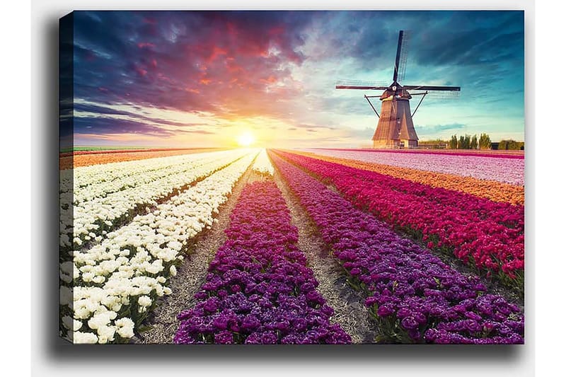 Dekorativ Canvasbillede 50x70 cm - Flerfarvet - Boligtilbehør - Billeder & kunst - Billeder på lærred