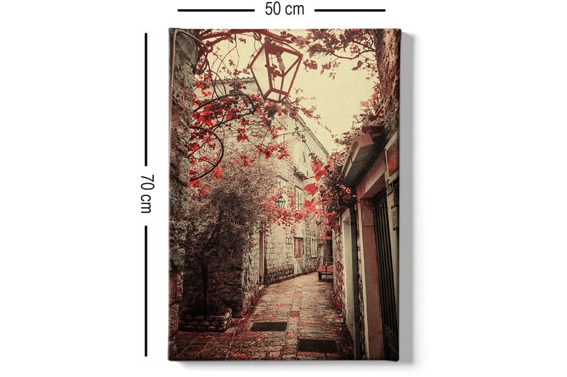 Dekorativ Canvasbillede 50x70 cm - Flerfarvet - Boligtilbehør - Billeder & kunst - Billeder på lærred