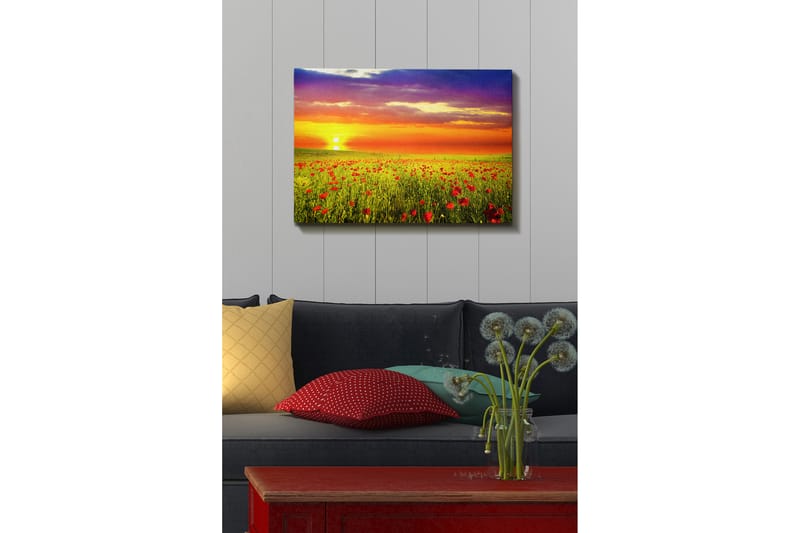 Dekorativ Canvasbillede 50x70 cm - Flerfarvet - Boligtilbehør - Billeder & kunst - Billeder på lærred