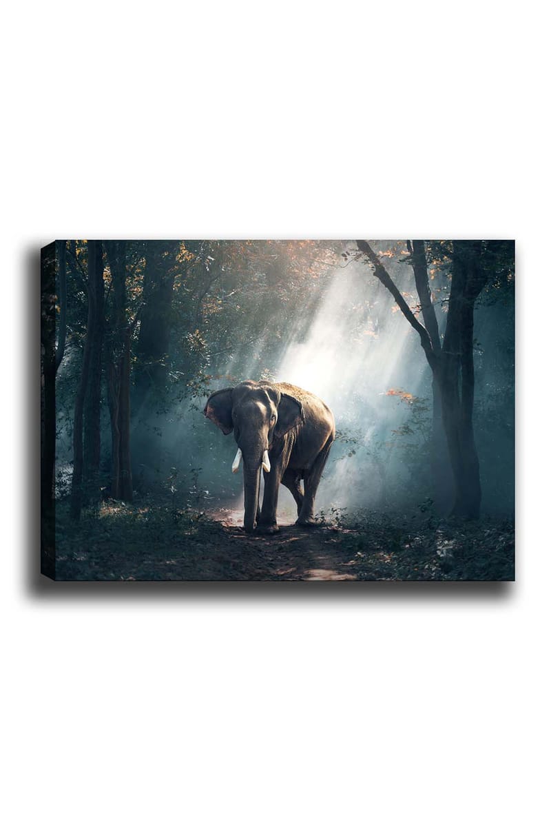 Dekorativ Canvasbillede 50x70 cm - Flerfarvet - Boligtilbehør - Billeder & kunst - Billeder på lærred