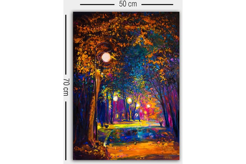 Dekorativ Canvasbillede 50x70 cm - Flerfarvet - Boligtilbehør - Billeder & kunst - Billeder på lærred