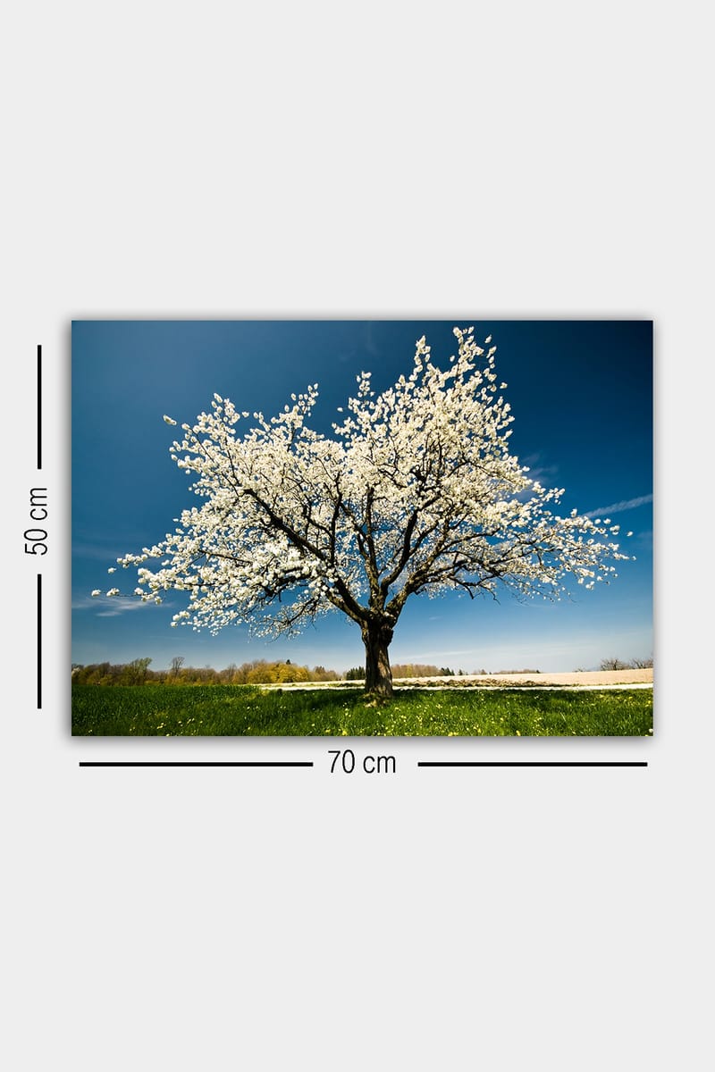 Dekorativ Canvasbillede 50x70 cm - Flerfarvet - Boligtilbehør - Billeder & kunst - Billeder på lærred
