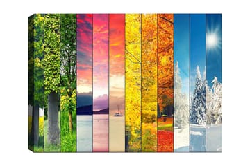 Dekorativ Canvasbillede 50x70 cm - Flerfarvet - Boligtilbehør - Billeder & kunst - Billeder på lærred