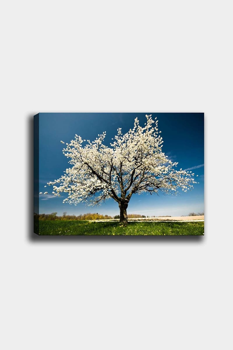 Dekorativ Canvasbillede 50x70 cm, Flerfarvet