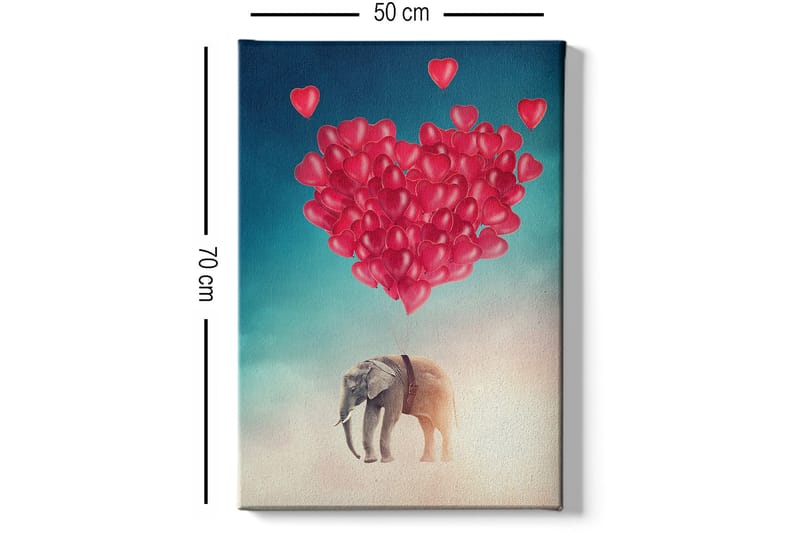 Dekorativ Canvasbillede 50x70 cm - Flerfarvet - Boligtilbehør - Billeder & kunst - Billeder på lærred