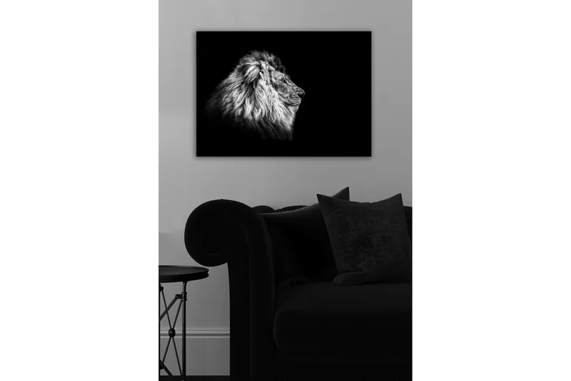 Dekorativ Canvasbillede 50x70 cm, Flerfarvet