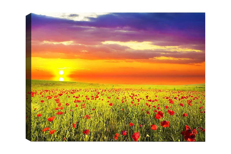 Dekorativ Canvasbillede 50x70 cm, Flerfarvet