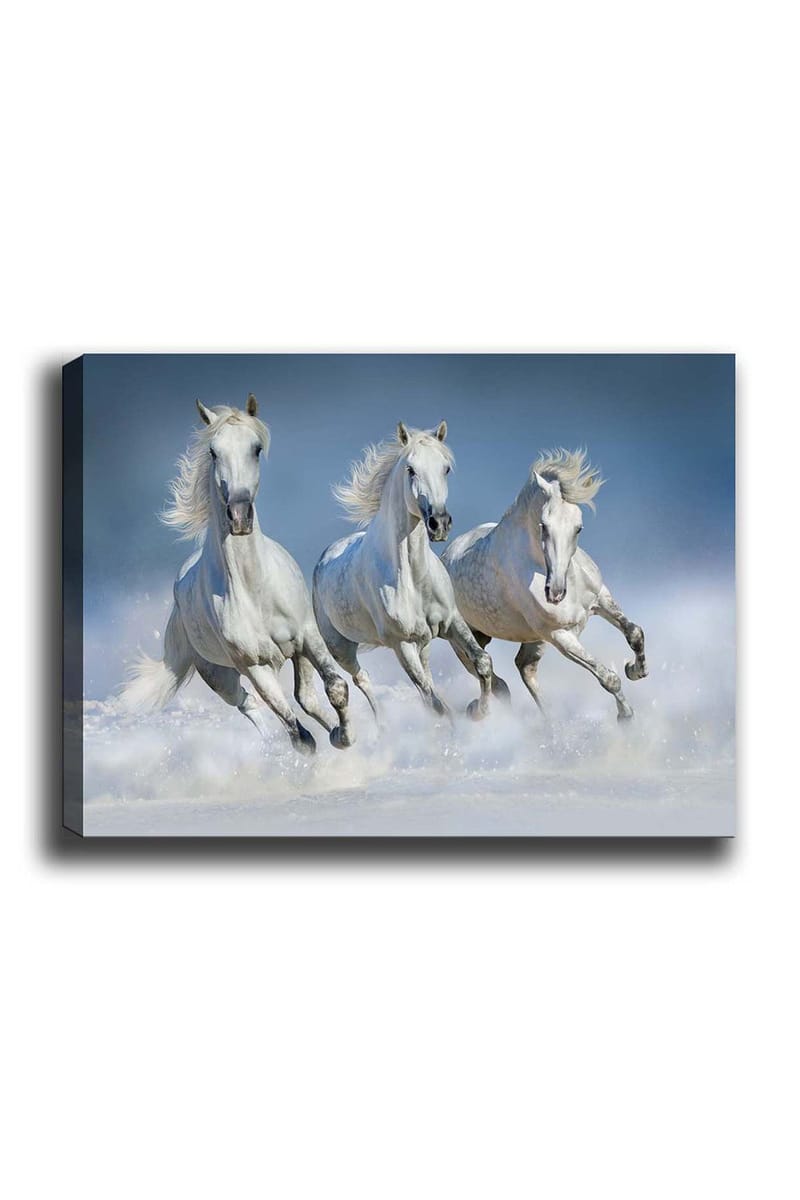 Dekorativ Canvasbillede 50x70 cm, Flerfarvet