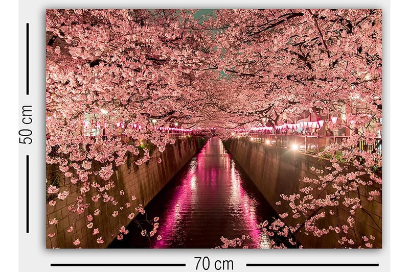 Dekorativ Canvasbillede 50x70 cm - Flerfarvet - Boligtilbehør - Billeder & kunst - Billeder på lærred