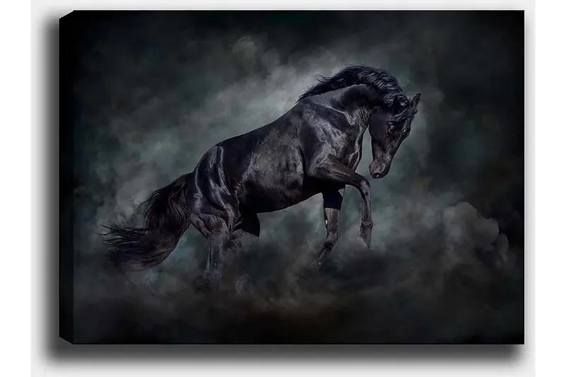 Dekorativ Canvasbillede 50x70 cm - Flerfarvet - Boligtilbehør - Billeder & kunst - Billeder på lærred