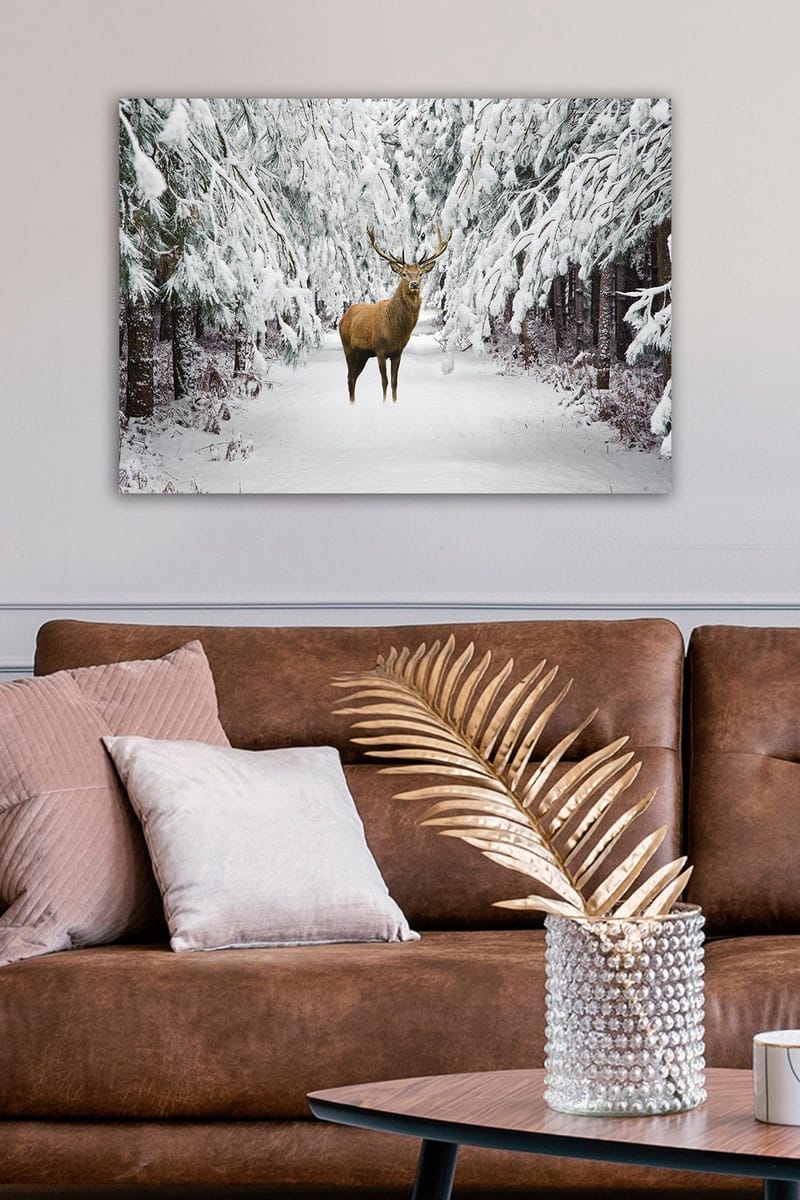 Dekorativ Canvasbillede 50x70 cm - Flerfarvet - Boligtilbehør - Billeder & kunst - Billeder på lærred