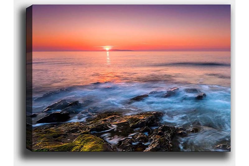 Dekorativ Canvasbillede 50x70 cm - Flerfarvet - Boligtilbehør - Billeder & kunst - Billeder på lærred