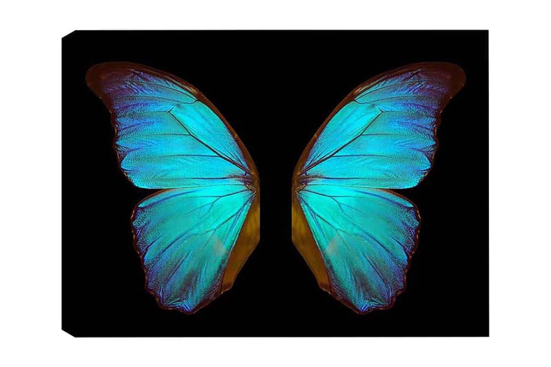 Dekorativ Canvasbillede 50x70 cm, Flerfarvet